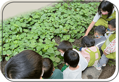 台中幼兒園點心時間／統整學習